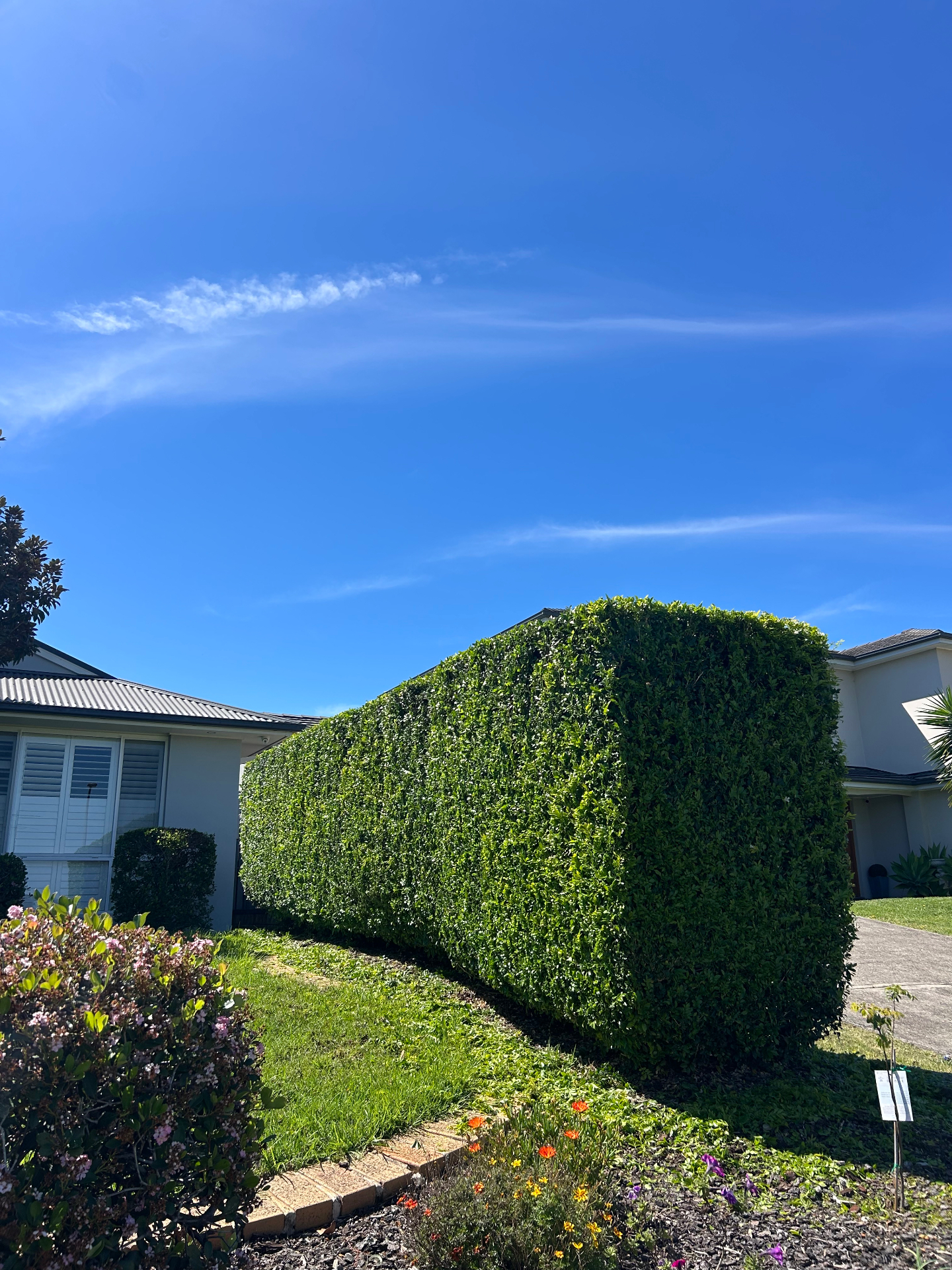Lawn and/or Garden Maintenance
