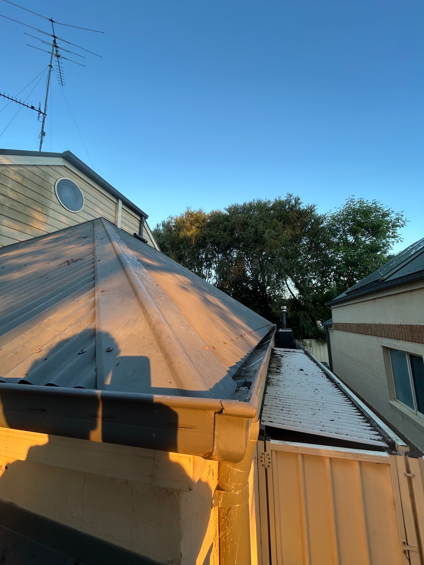 Gutter Cleaning