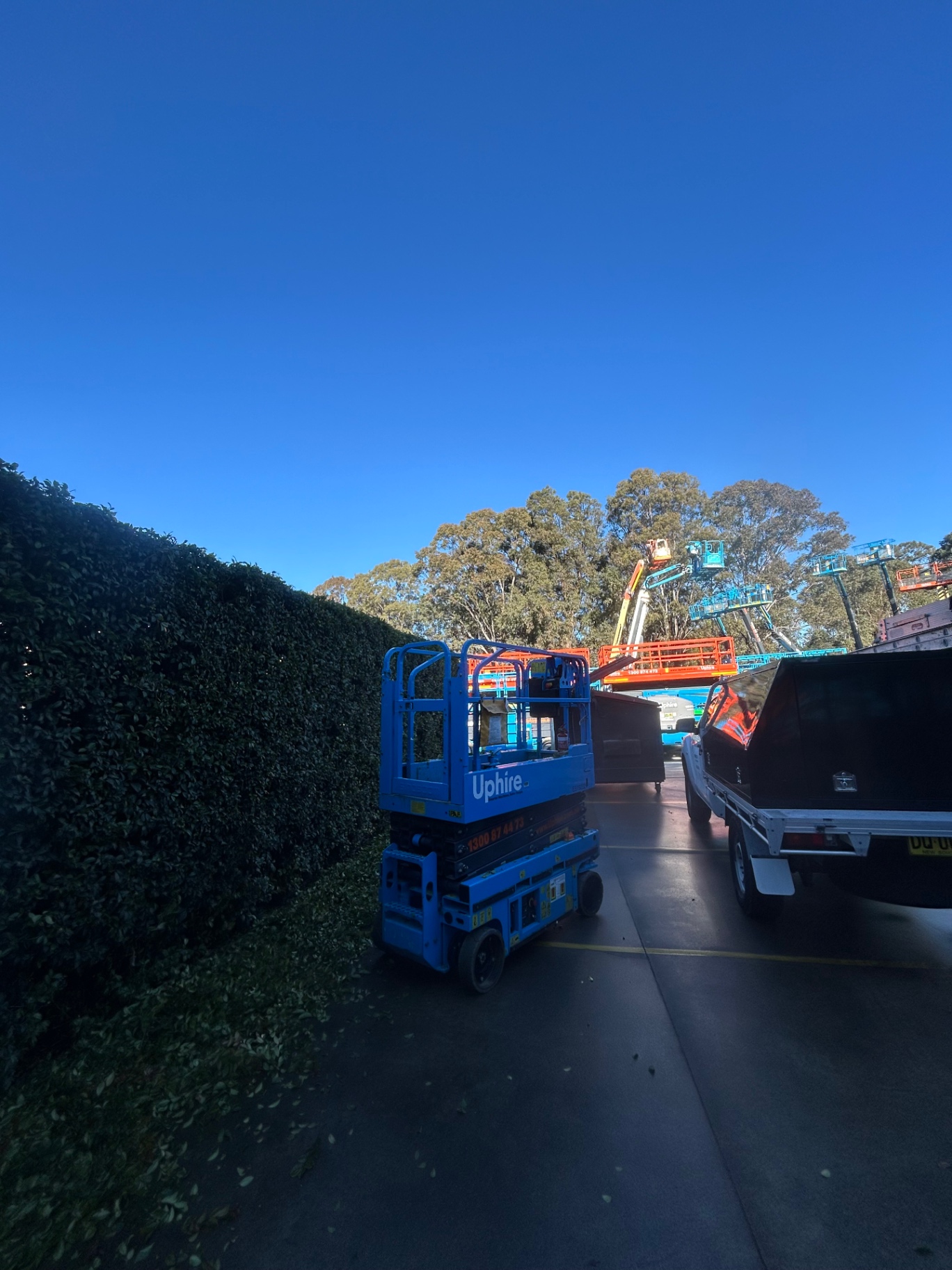 Elevated work platforms beside a tall commercial hedge